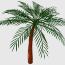 椰子の木モデル