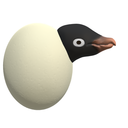 卵から大人のペンギン