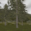 針葉樹林ステージMMDモデル