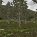 針葉樹林ステージMMDモデル